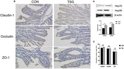 Effects of short-distance transportation on physiological indexes, intestinal morphology, microbial community, and the transcriptome of the jejunum in weaned piglets